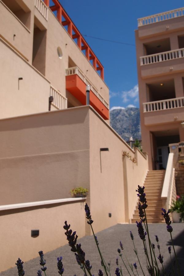 Agava * Makarska