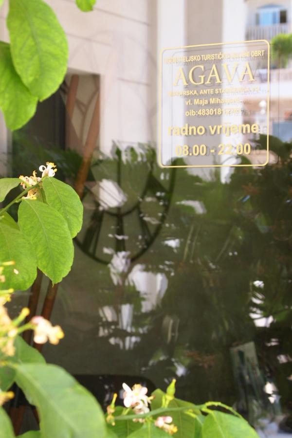 Agava * Makarska